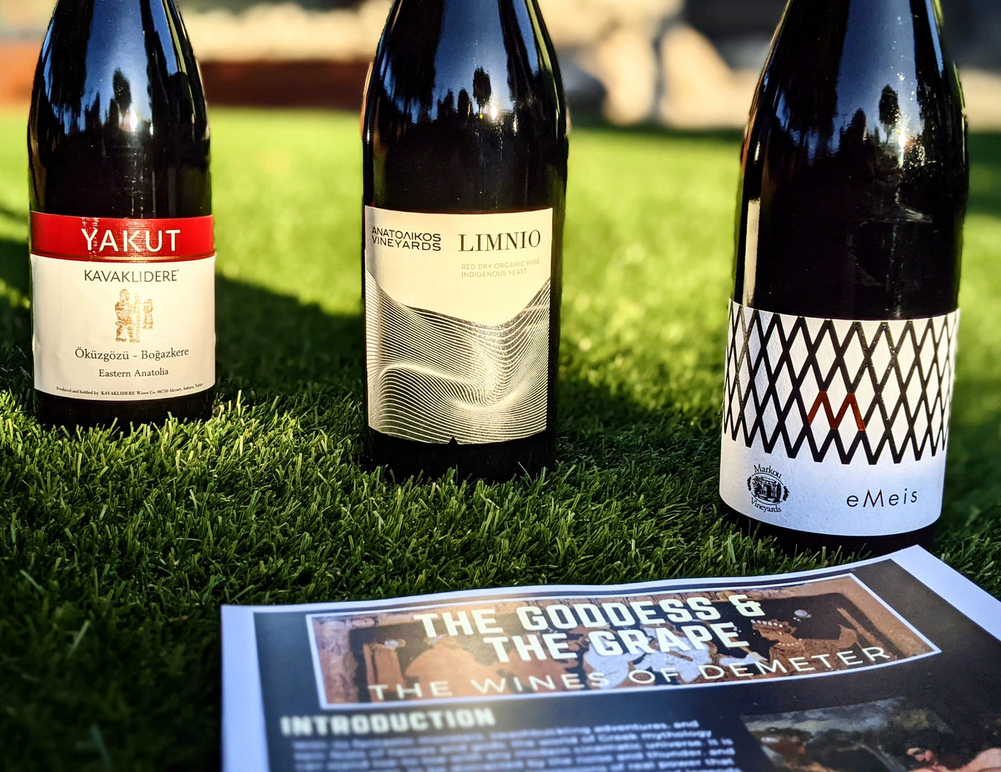 The Ancient Wines Club 6-Month Gift Subscription